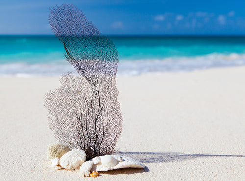 Soy Wax Melt - Beach Escape