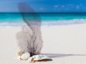Soy Wax Melt - Beach Escape