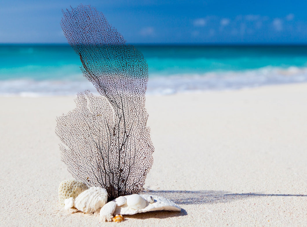 Soy Wax Melt - Beach Escape