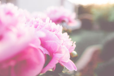 Soy Wax Melt - Lychee Peony