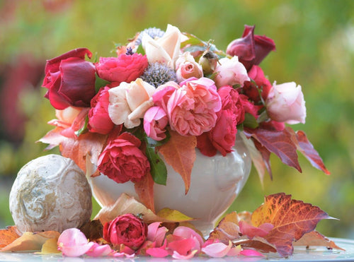 Soy Wax Melt - Pure Rose